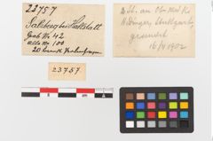 Etiketten zu Kette (NHMW-PRAE-023757)